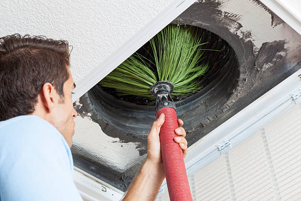 Best HVAC Air Duct Cleaning  in Tea, SD